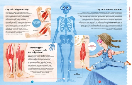 Fascynujące fakty o ciele (zapowiedź)