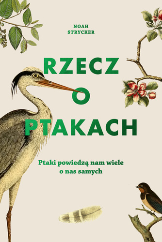 Rzecz o ptakach (ebook)
