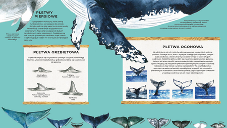 Walenie. Sekretne życie