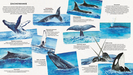 Walenie. Sekretne życie