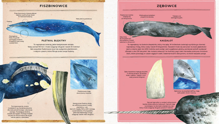 Walenie. Sekretne życie