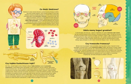 Fascynujące fakty o ciele (zapowiedź)