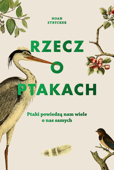 Rzecz o ptakach (ebook)
