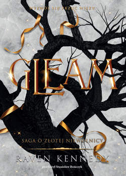 Gleam (ebook)